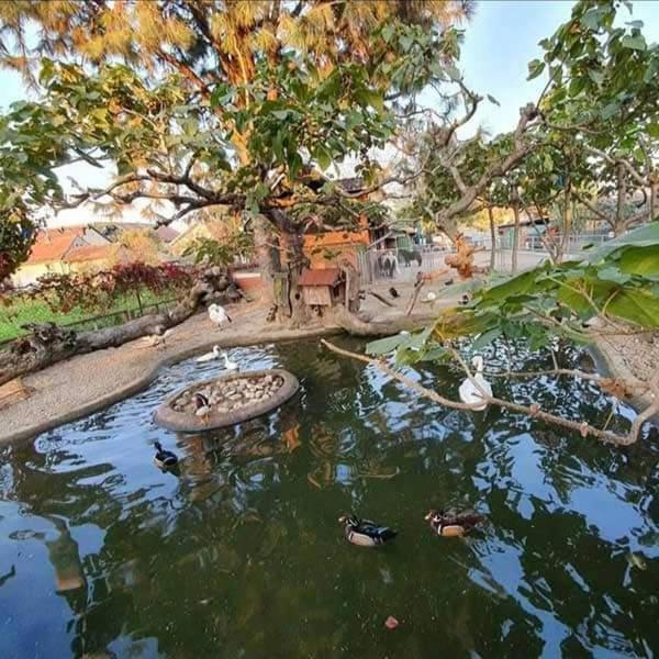 Apartman Normanci Near Bizovac Thermal Spa Екстер'єр фото